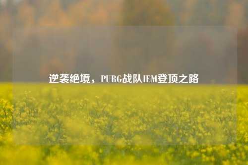 逆袭绝境,PUBG战队IEM登顶之路