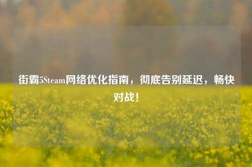 街霸5Steam网络优化指南,彻底告别延迟,畅快对战!