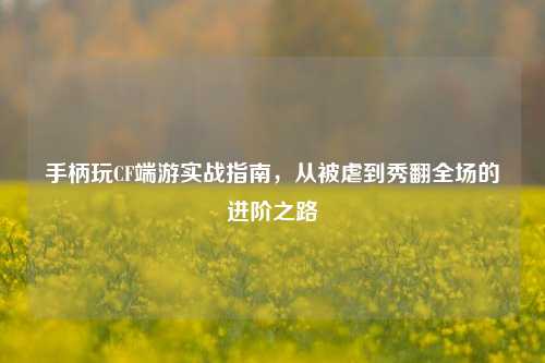 手柄玩CF端游实战指南,从被虐到秀翻全场的进阶之路