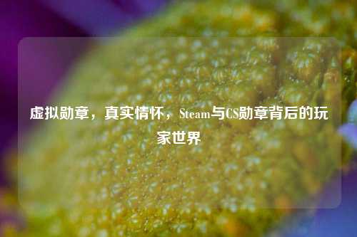 虚拟勋章,真实情怀,Steam与CS勋章背后的玩家世界