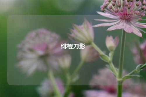 绯樱刀影