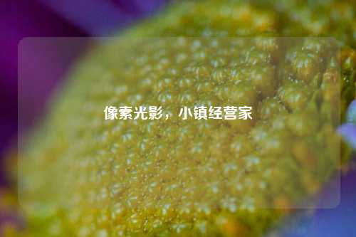 像素光影,小镇经营家