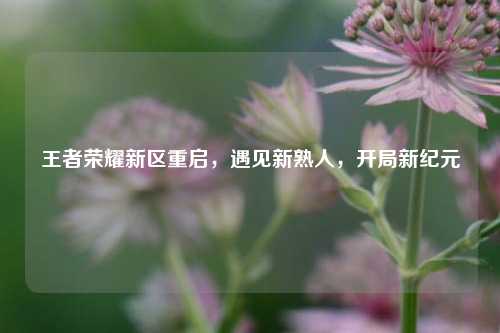 王者荣耀新区重启,遇见新熟人,开局新纪元