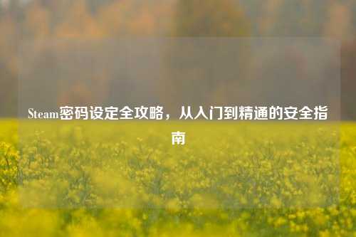 Steam密码设定全攻略,从入门到精通的安全指南