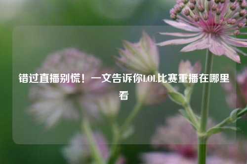 错过直播别慌!一文告诉你LOL比赛重播在哪里看