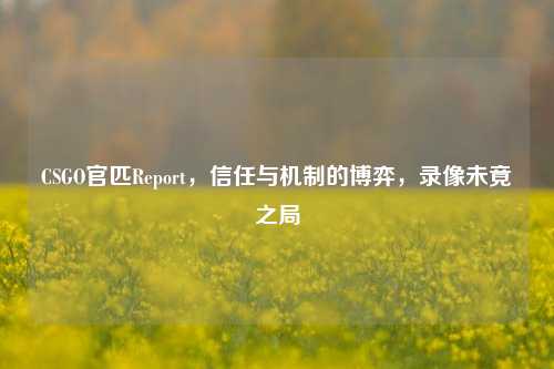 CSGO官匹Report,信任与机制的博弈,录像未竟之局