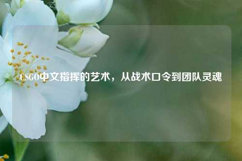 CSGO中文指挥的艺术,从战术口令到团队灵魂