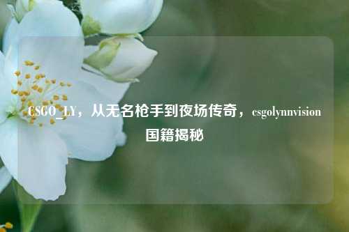 CSGO_LY,从无名枪手到夜场传奇,csgolynnvision国籍揭秘
