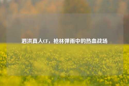 泗洪真人CF,枪林弹雨中的热血战场