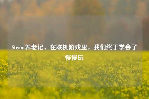 Steam养老记,在联机游戏里,我们终于学会了慢慢玩