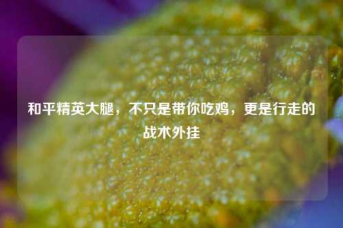 和平精英大腿,不只是带你吃鸡,更是行走的战术外挂