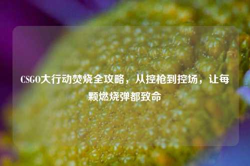 CSGO大行动焚烧全攻略,从控枪到控场,让每颗燃烧弹都致命