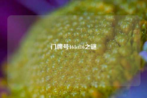 门牌号161cf16之谜