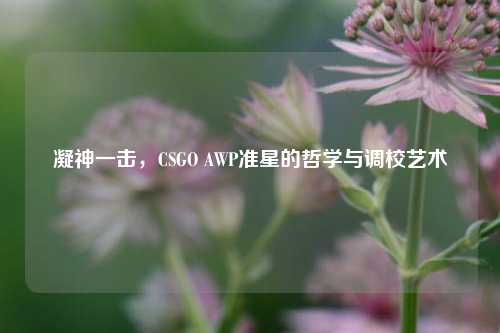 凝神一击,CSGO AWP准星的哲学与调校艺术