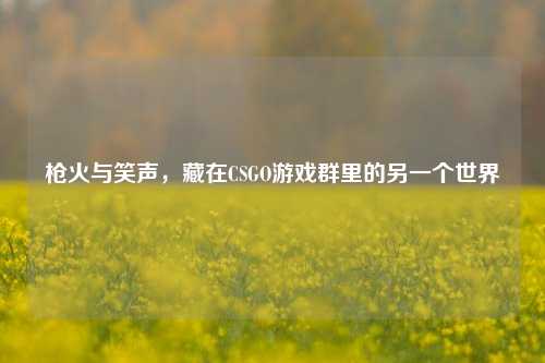 枪火与笑声,藏在CSGO游戏群里的另一个世界