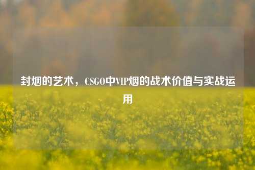 封烟的艺术,CSGO中VIP烟的战术价值与实战运用