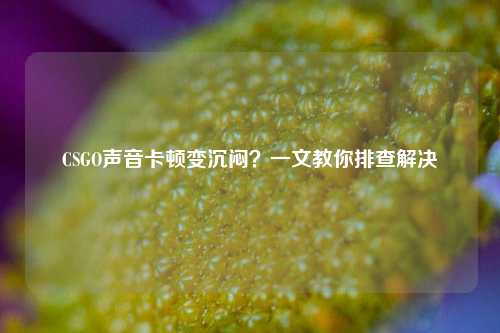 CSGO声音卡顿变沉闷?一文教你排查解决