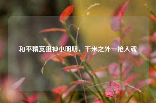和平精英狙神小明明,千米之外一枪入魂