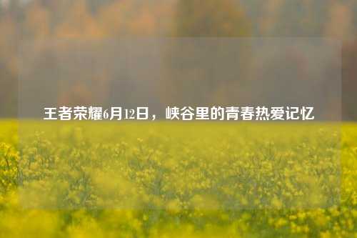 王者荣耀6月12日,峡谷里的青春热爱记忆