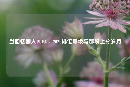 当回忆涌入PUBG,2020排位等级与那段上分岁月