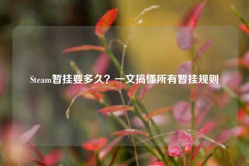 Steam暂挂要多久?一文搞懂所有暂挂规则