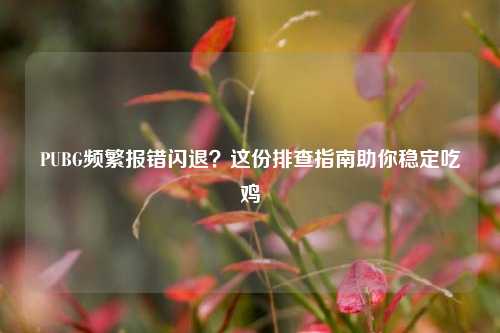 PUBG频繁报错闪退?这份排查指南助你稳定吃鸡