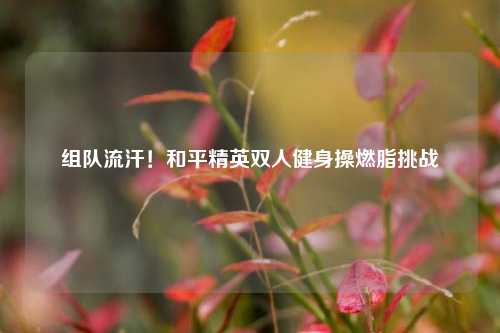 组队流汗！和平精英双人健身操燃脂挑战