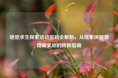 绝地求生探索活动密码全解析,从线索拼图到隐藏奖励的终极指南