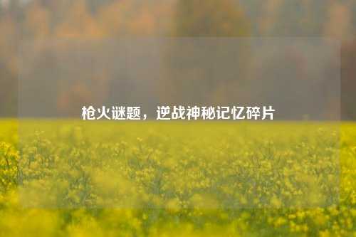枪火谜题,逆战神秘记忆碎片