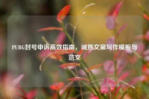 PUBG封号申诉高效指南,诚恳文案写作模板与范文