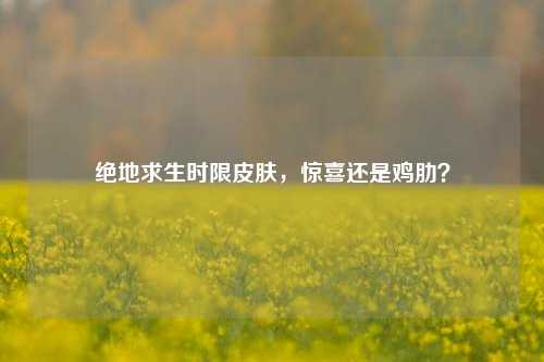 绝地求生时限皮肤,惊喜还是鸡肋?