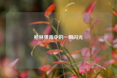 枪林弹雨中的一瞬闪光