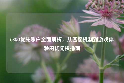 CSGO优先账户全面解析,从匹配机制到游戏体验的优先权指南