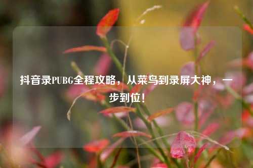 抖音录PUBG全程攻略,从菜鸟到录屏大神,一步到位!