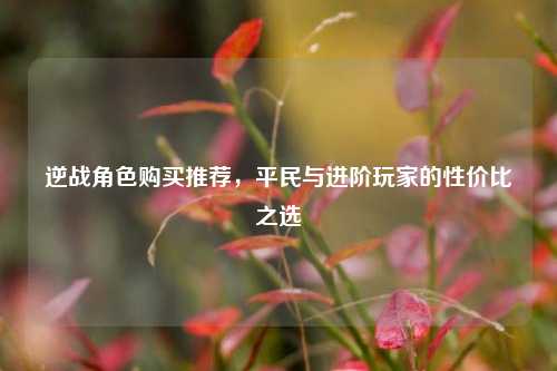 逆战角色购买推荐,平民与进阶玩家的性价比之选