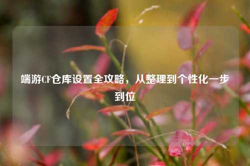 端游CF仓库设置全攻略,从整理到个性化一步到位