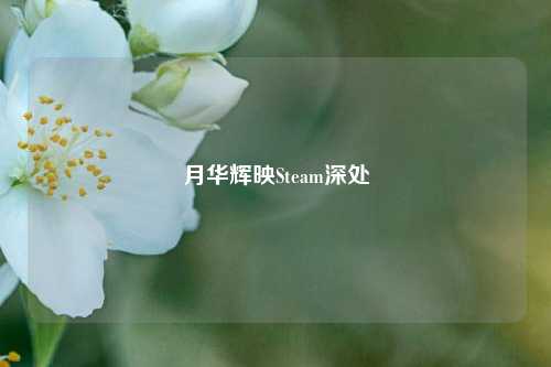 月华辉映Steam深处