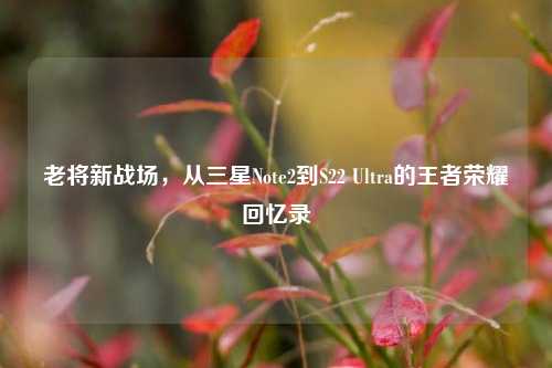 老将新战场,从三星Note2到S22 Ultra的王者荣耀回忆录