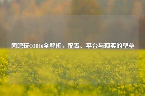 网吧玩COD16全解析,配置、平台与现实的壁垒