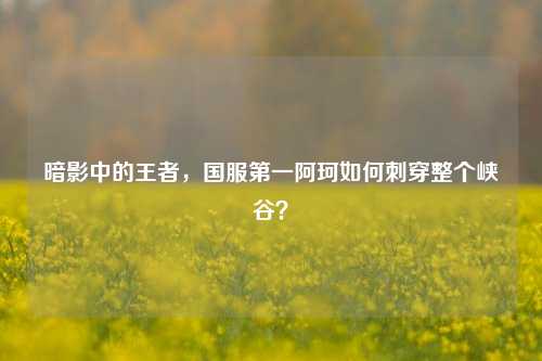 暗影中的王者,国服第一阿珂如何刺穿整个峡谷?