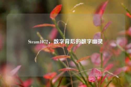Steam1072,数字背后的数字幽灵