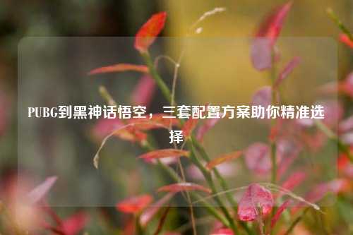 PUBG到黑神话悟空,三套配置方案助你精准选择