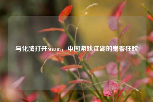 马化腾打开Steam,中国游戏江湖的鬼畜狂欢