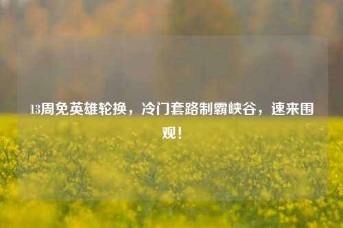 13周免英雄轮换,冷门套路制霸峡谷,速来围观!