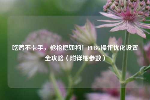 吃鸡不卡手,枪枪稳如狗!PUBG操作优化设置全攻略(附详细参数)