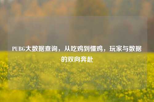 PUBG大数据查询,从吃鸡到懂鸡,玩家与数据的双向奔赴