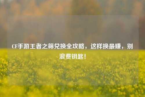 CF手游王者之筛兑换全攻略,这样换最赚,别浪费钥匙!