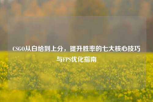 CSGO从白给到上分,提升胜率的七大核心技巧与FPS优化指南
