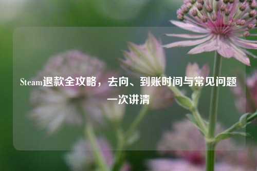 Steam退款全攻略,去向、到账时间与常见问题一次讲清