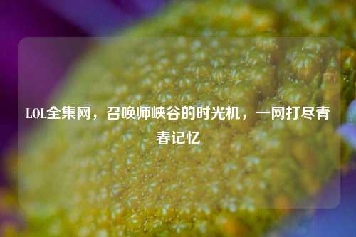 LOL全集网,召唤师峡谷的时光机,一网打尽青春记忆